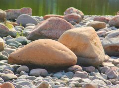 ʯϳҵѶϢʯγɹ̼ע