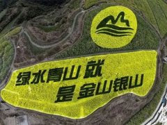浙江矿业：建成绿色矿山468家，矿山总数减少12000家